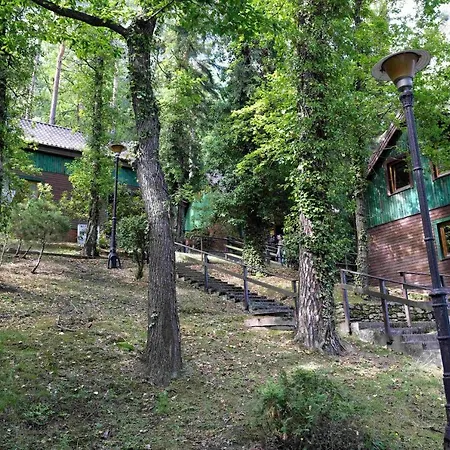 Zloty Sen