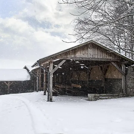 Resort Zloty Sen Lesna
